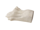 Lion Paw